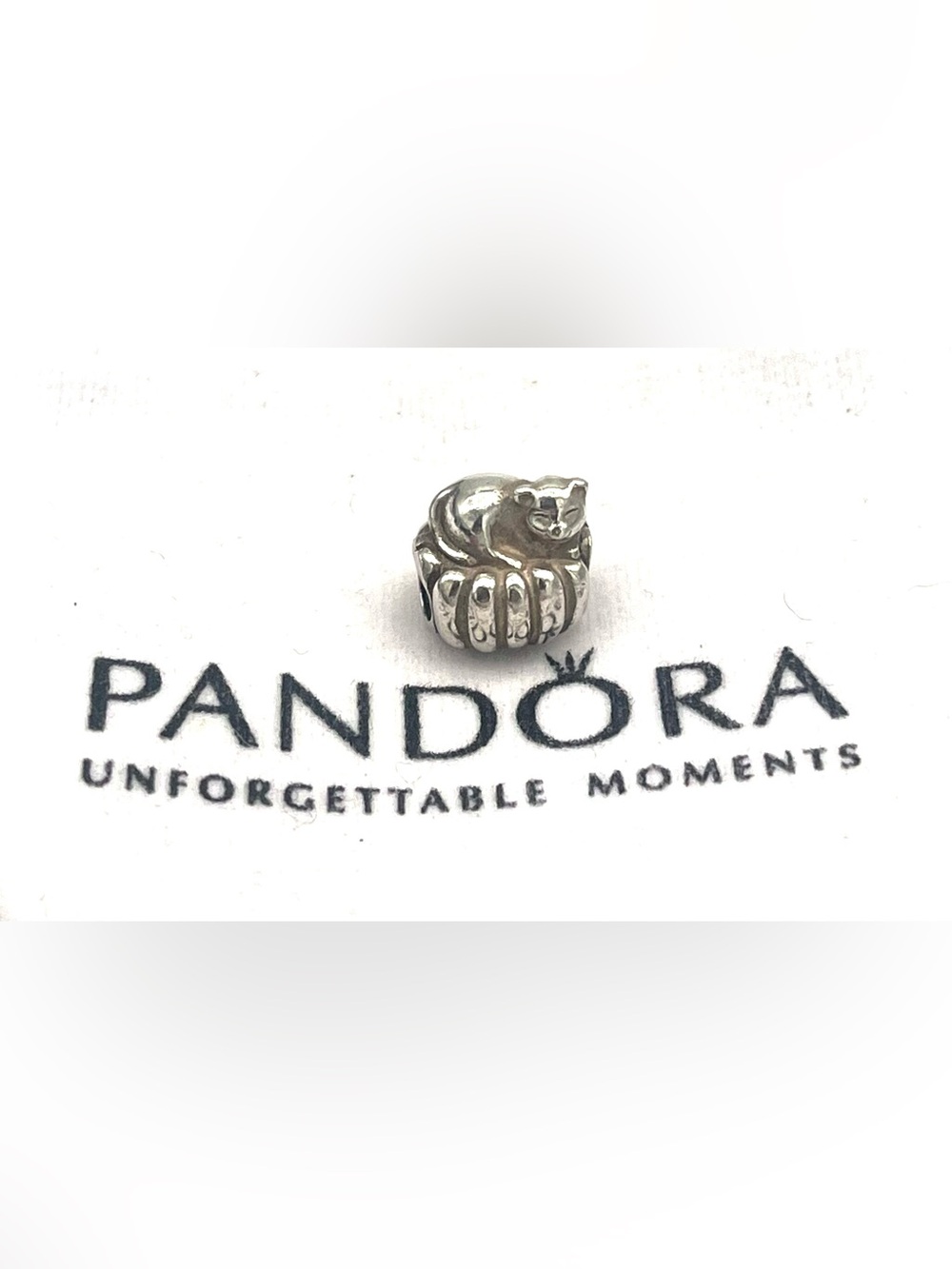 Pandora Cozy Cat Sterling Silver Bead Charm Retired